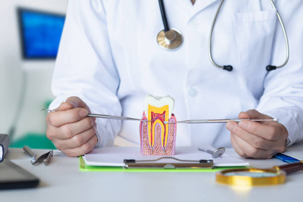 Best Root Canal Emergency Dentist  in Charleston, IL